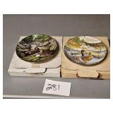 Duck Plates