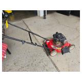 push mower - did not start