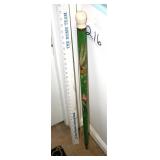 walking cane / pool cue