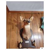 MOUNTED DEER HEAD AND DEER HOOVES GUN RACK-