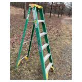6 ft Werner fiberglass ladder