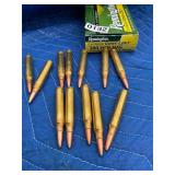 12-Remington 300 win mag 180 gr core lokt sp