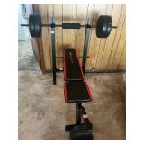 Weight bench and 100 lbs weights