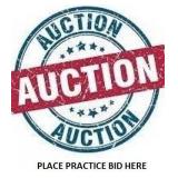 Place A Practice Bid Here