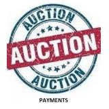 Payment Requirements ( Online Currency Pay) Payment Requirements ( Online Currency Pay)