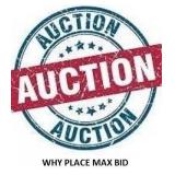 Why Place A Maximum Bid?