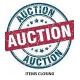 Information For How Lots Close On The  Auction