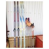 Cross Country Skis