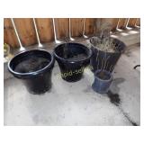 Add Colour To the Yard