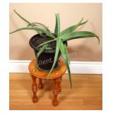 VTG Wooden Stool w Aloe Vera Live Plant