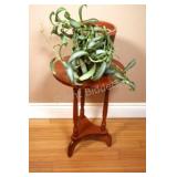 Botanical Basket Plant & Wood Side Table