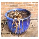 Cobalt Blue w Bamboo Glazed Ceramic Planter,