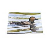 Loon Canvas Print on Stretcher Board