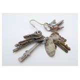 Antique Skeleton & Padlock Keys