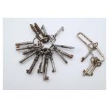 Antique Skeleton & Padlock Keys