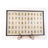 Complete Framed Military Uniforms - British Empire