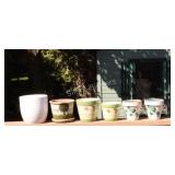 Assortment of Herb Plant Containers