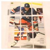 Wayne Gretzky Complete Performance Record Cards