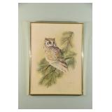 Julie, Original Owl Framed Artwork