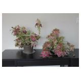 REAL - Tropical Solarium Plant