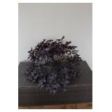 REAL - Tropical Solarium Plant