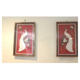 Shell White Peacocks in Plastic Coverings