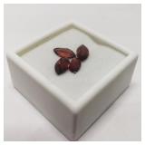 $100, Garnets