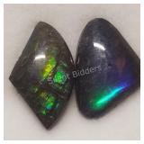 $200, Can Ammolites