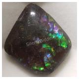 $200, Canadian Ammolite