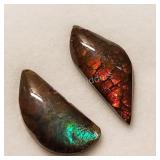 $200, Canadian  Ammolites