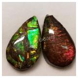 $200, Canadian Ammolites