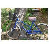 Raleigh Ladies Bike with Basket & Padded Seat