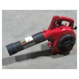 Full Crank Engine Gas Blower-