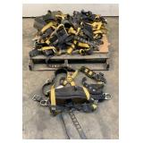 (10) Safety Harnesses