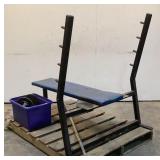 Weight Bench & Weights