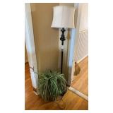 Lamp and Decorative Plant-