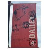 Bailey Lookouts Banner