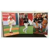 Lookouts Player Poster Boards