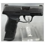 *SEIZURE* Sig Sauer P365 9mmx19