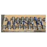 (21) FNW 1" Ball Valves