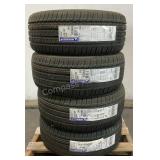 Michelin 19" Tires