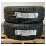 (2) Michelin 19" Tires