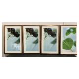 (16) Assorted Prints
