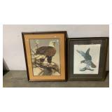 Red Tail Hawk and Bald Eagle Prints-