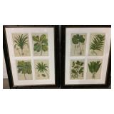 (qty - 2) Plant Prints-