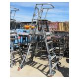 Little Giant Cage Ladder