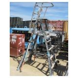 Little Giant Cage Ladder