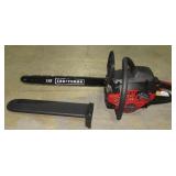 2-Cycle Gas Chainsaw and Carry Case-
