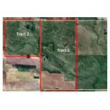Tract Three: COMBINATION of Tracts 1&2 480+/-Acres