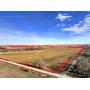 Pasture & Cropland with a Nice Home Auction